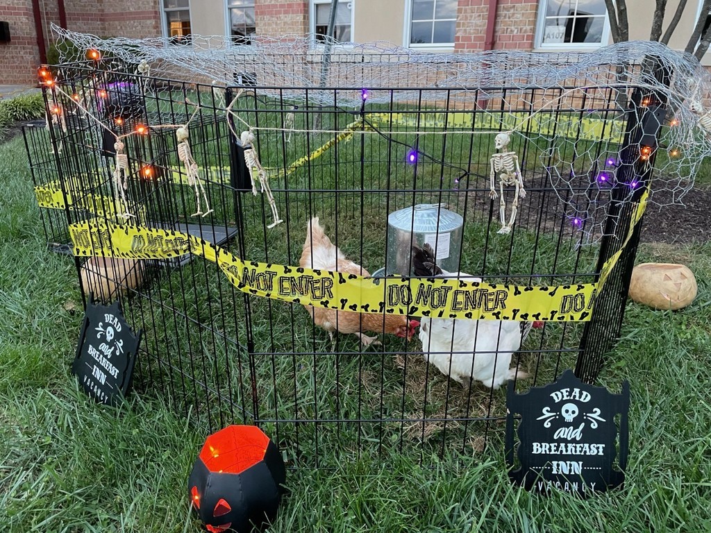 Haunted Courtyard