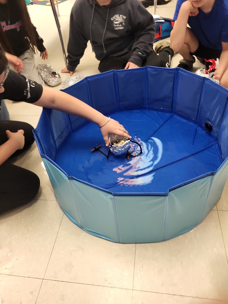 Sink/Float