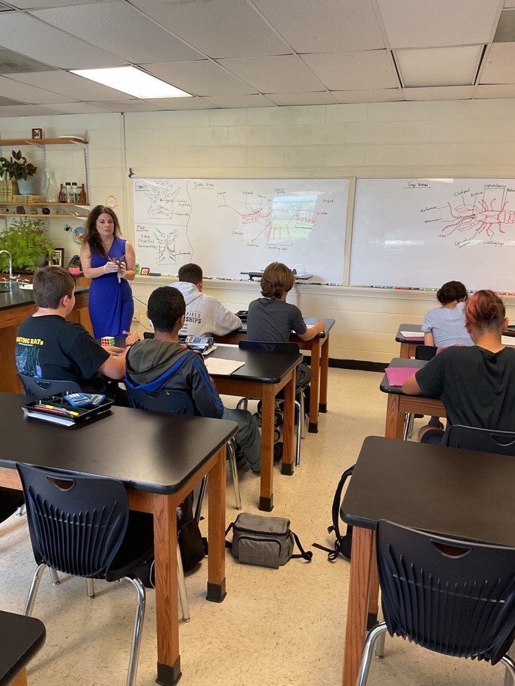 Students reviewing anatomy of crayfish.