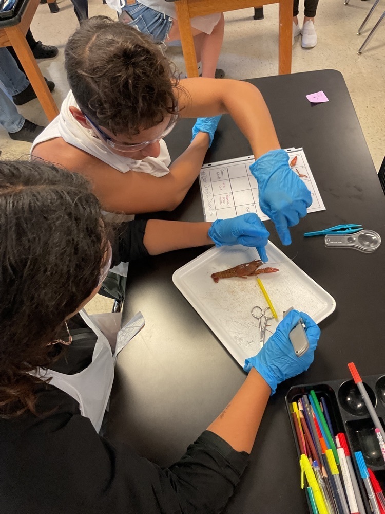 Students dissecting a crayfish.