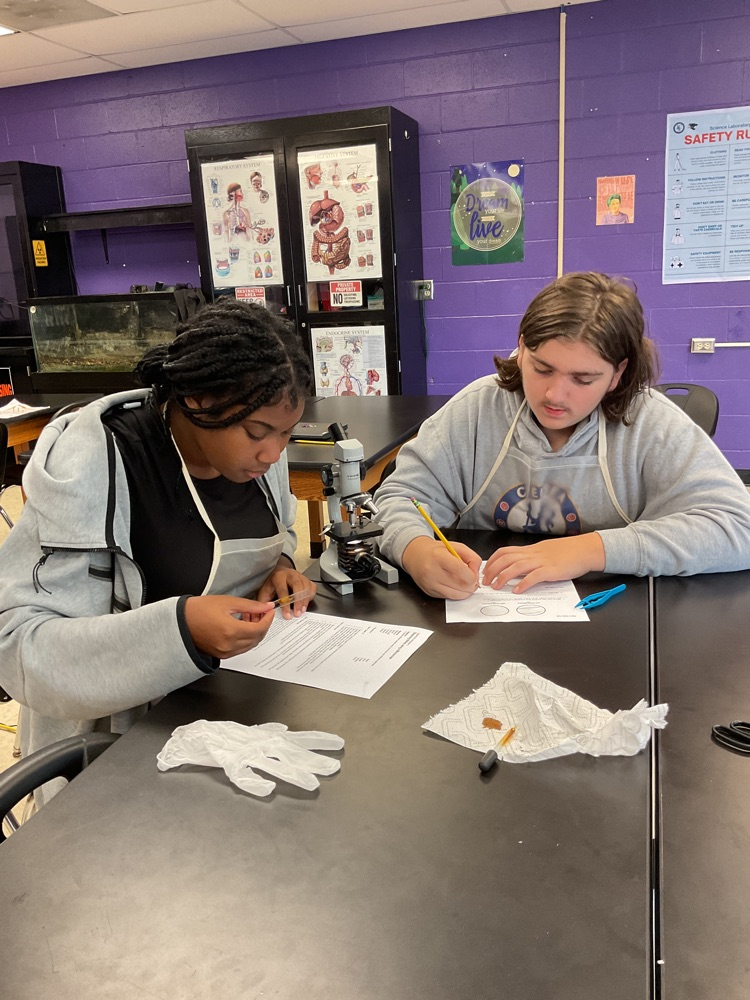 students working on an experiment