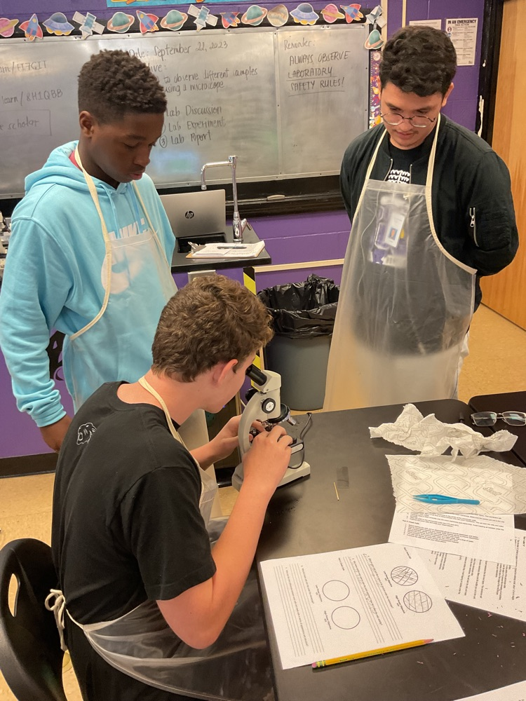 students working on an experiment