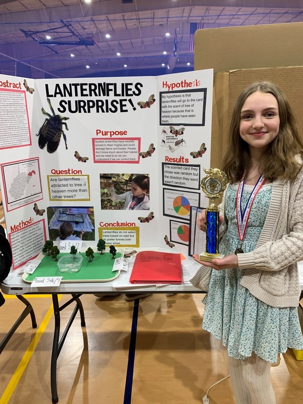 Science fair showcases research projects